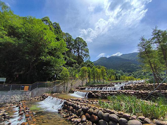 泰森遭遇挑战：昔日拳王不敌网红保罗的格斗之路